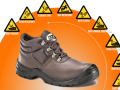 DOT XENON IN BROWN